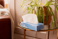 Soft White Facial Tissues, Box of 100