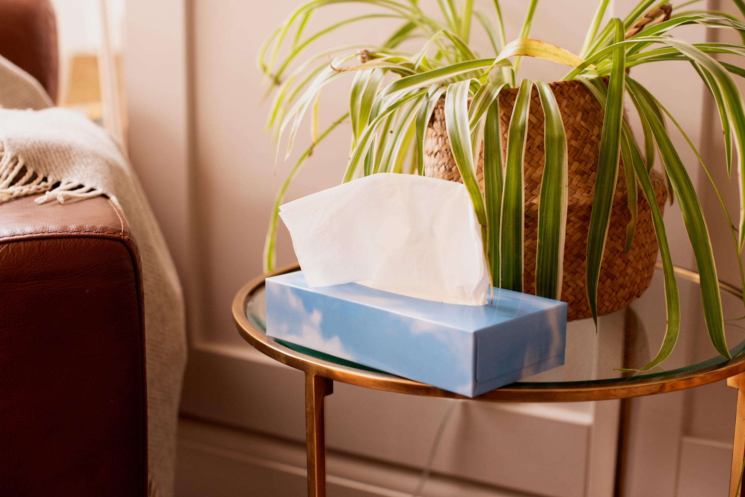 Soft White Facial Tissues, Box of 100