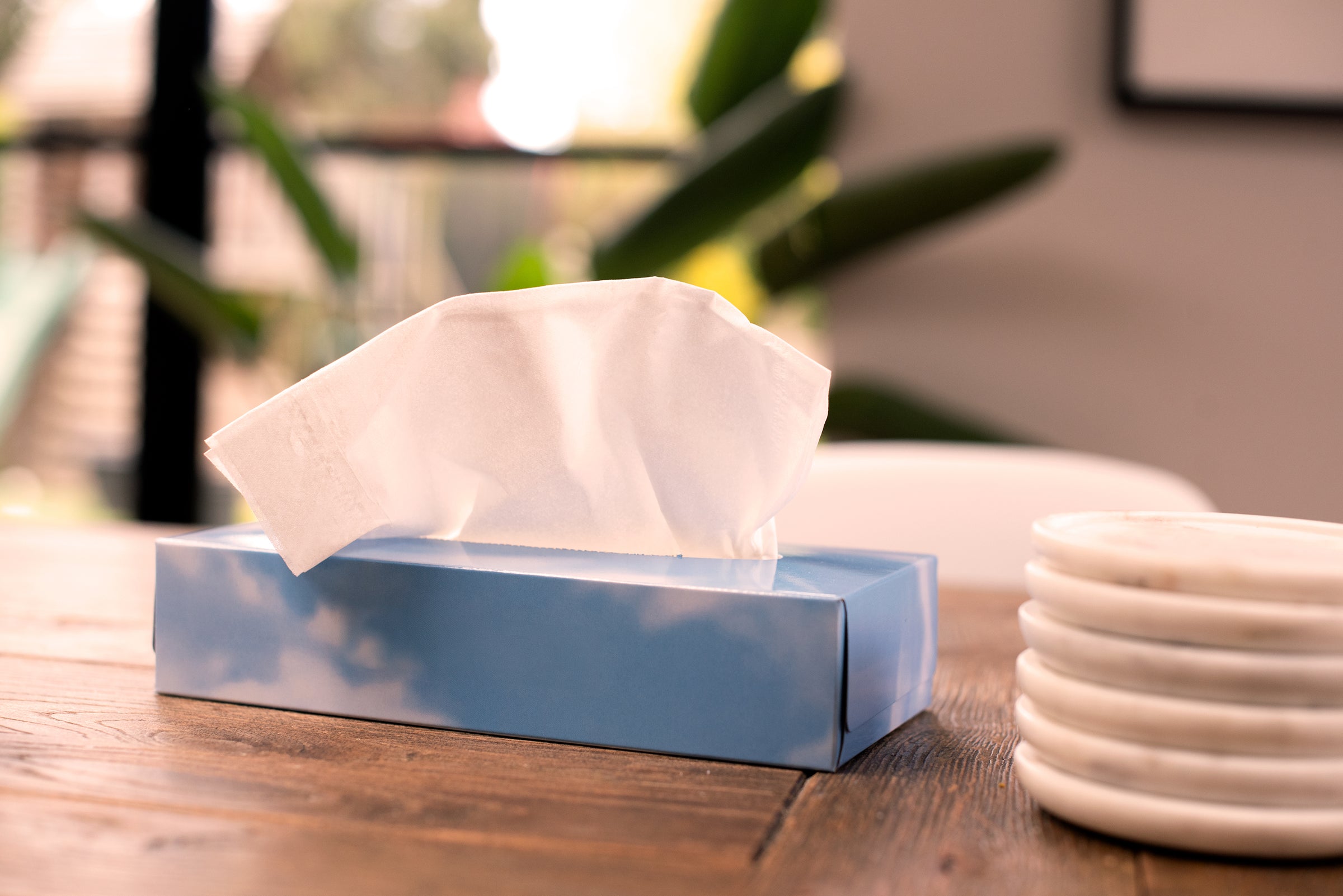 Soft White Facial Tissues, Box of 100