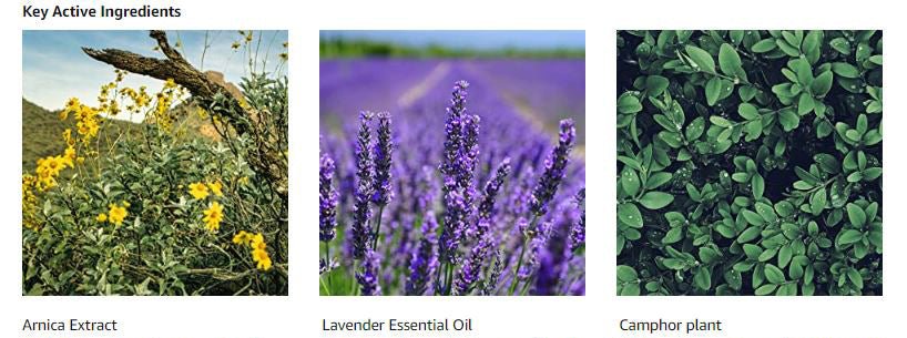 Arnica Gel 100ml - ANAGEL