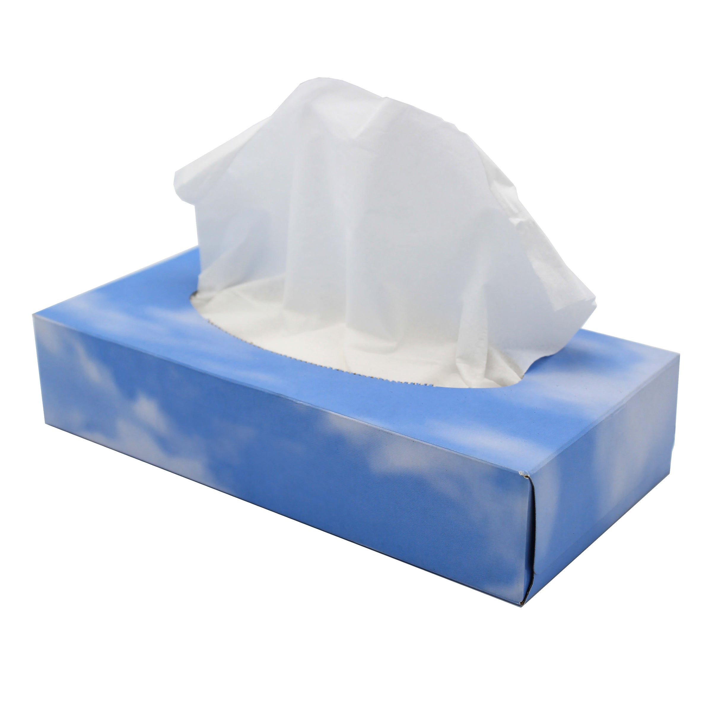 Soft White Facial Tissues, Box of 100